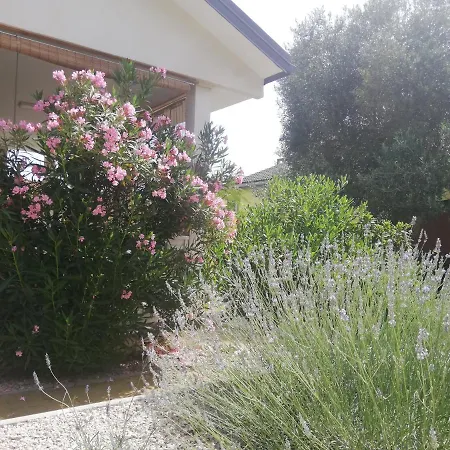 House Lily Sibenik