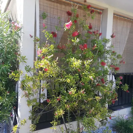 Appartement House Lily *